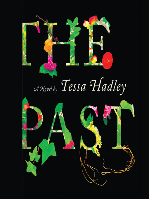 Title details for The Past by Tessa Hadley - Wait list